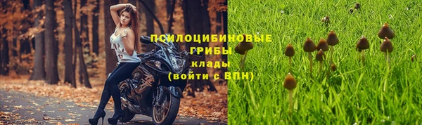 хмурый Краснослободск