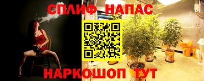 гашик Кунгур