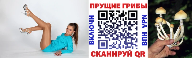 Псилоцибиновые грибы Magic Shrooms  дарнет шоп  Чайковский 