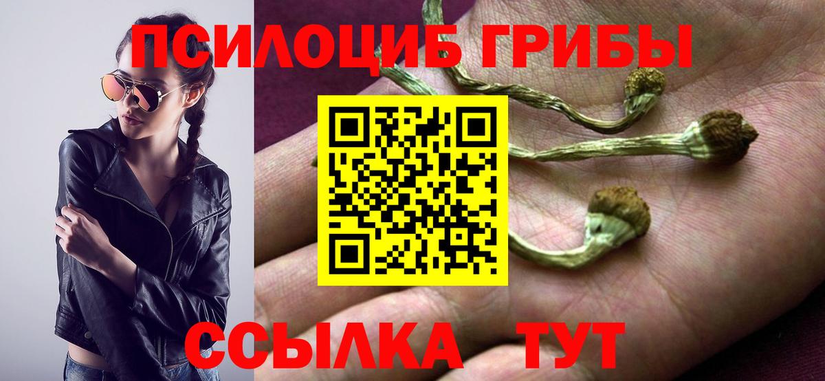 Псилоцибиновые грибы Magic Shrooms Чайковский